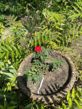upload_img1