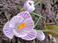 upload_img1