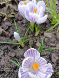 upload_img1