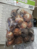 upload_img1