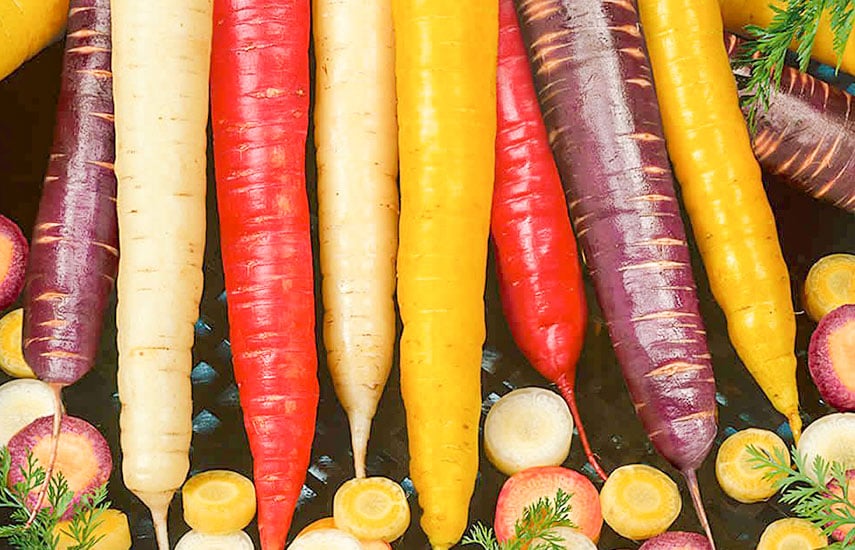 5 способов посеять морковь: надежные, проверенные методы