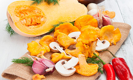 Грибной сезон | GradinaMax