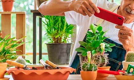 Гроші за відео | GradinaMax