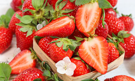 Медовая сладость | GradinaMax