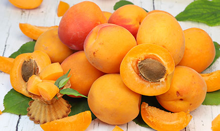 Медовый вкус | GradinaMax