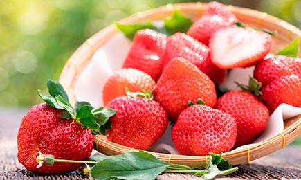 Счастье сладкоежки | GradinaMax