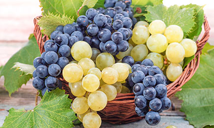 Сладкие гроздья | GradinaMax