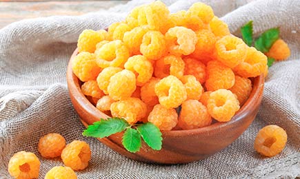 Сладкие ягоды | GradinaMax