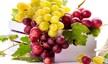 Свой виноградник! | GradinaMax