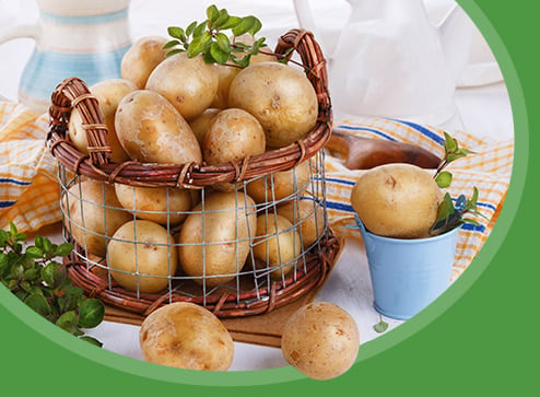 Каталог - Семенной картофель - GradinaMax Украина