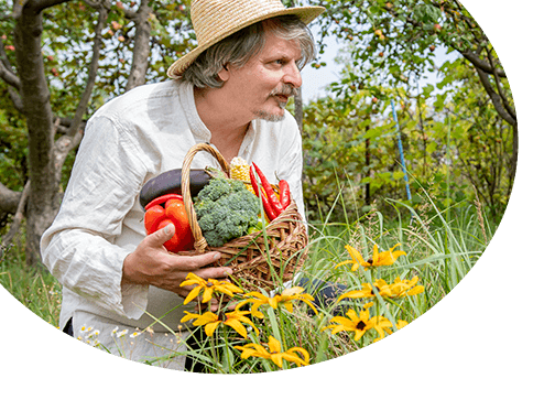 Каталог - -60% на насіння овочів та квітів - GradinaMax Україна