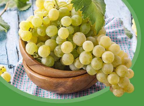 Каталог - -30% на саженцы винограда - GradinaMax Украина