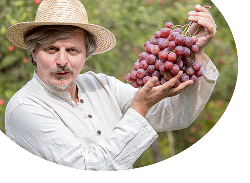 Каталог - -70% на саженцы винограда - GradinaMax Украина